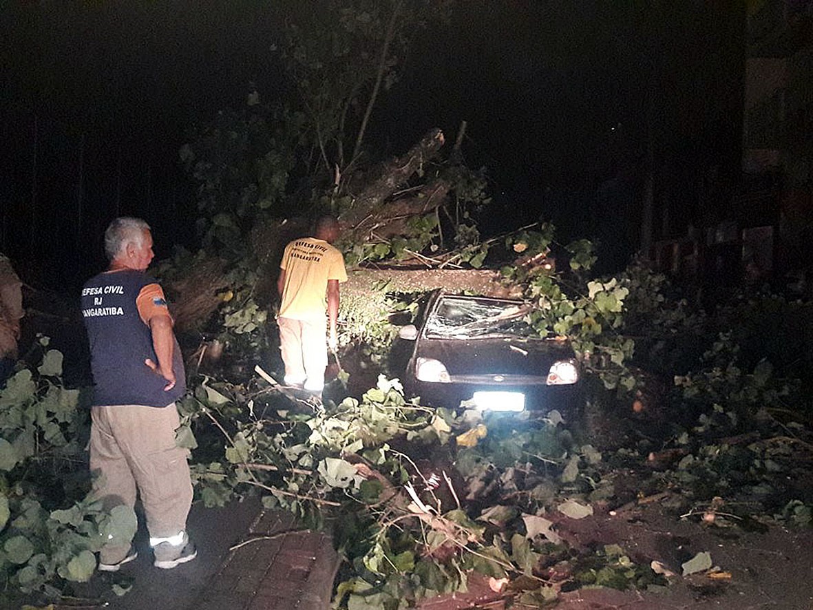 Agentes da defesa civil trabalharam na retirada de uma árvore em cima de um carro em Mangartiba