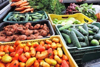 Embrapa desenvolve projeto que beneficia os pequenos produtores rurais