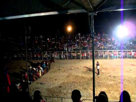 EM VÍDEO divulgado nas redes sociais a Prefeitura de Seropédica anuncia rodeio na expo2018