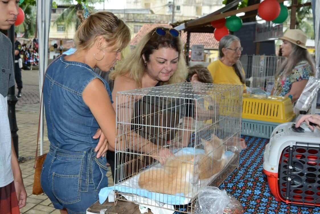 FOTOS ALAN BARROS/PMM