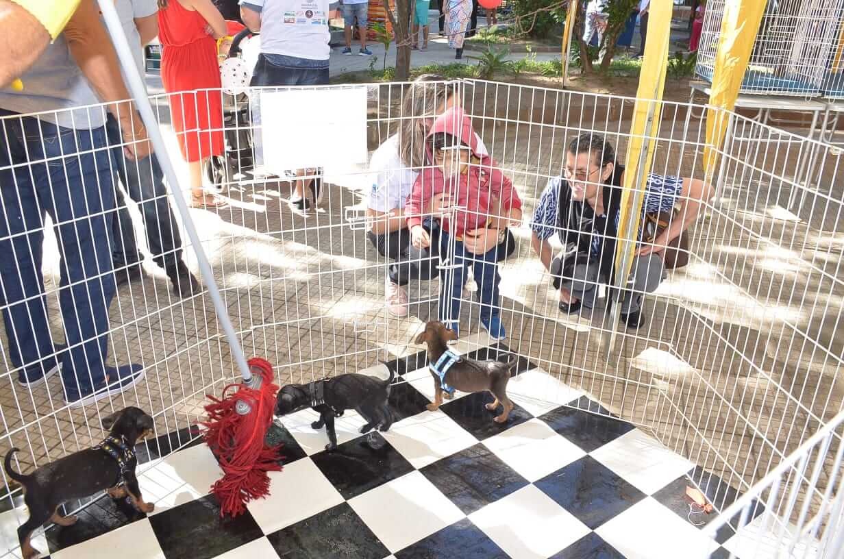 FOTOS J. ALVES BAHIA/ PMM