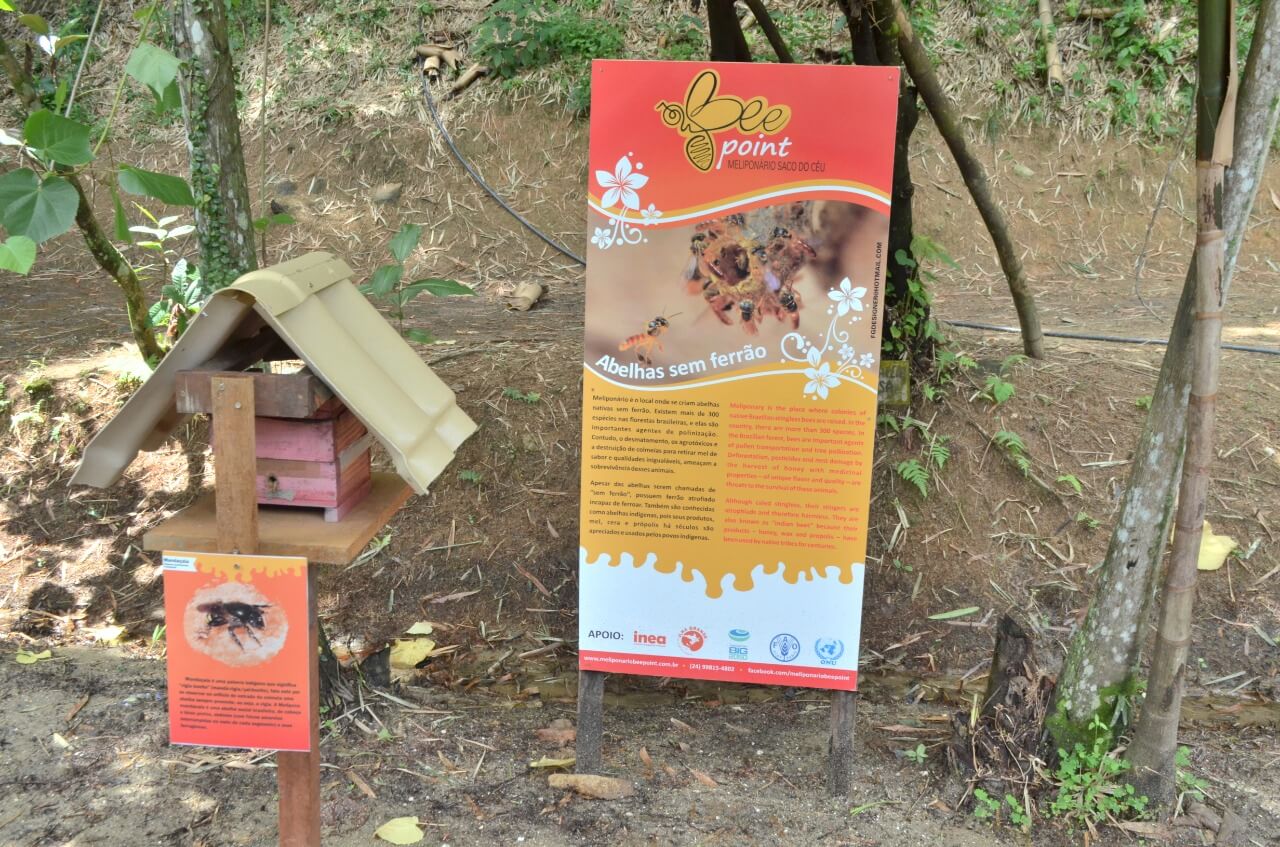 CRIAÇÃO DE abelhas sem ferrão visa incentivar a produção e a educação ambiental