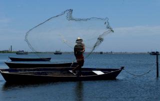 ATIVIDADE PESQUEIRA no Rio de Janeiro soma 63 mil toneladas de pescado