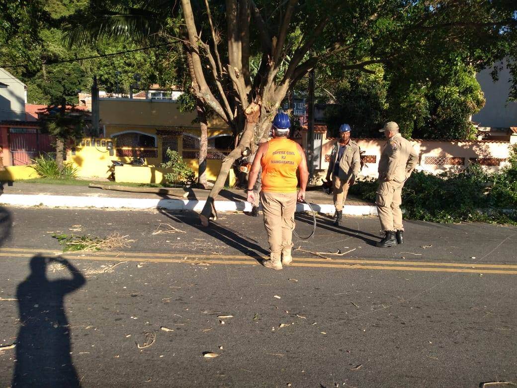 EQUIPES DA Defesa Civil e do Corpo de Bombeiros retiraram a árvore caída no Sahy