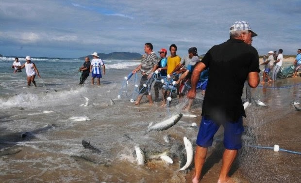 O AUTOR da proposta disse que o conjunto de ações vai beneficiar o pescador artesanal