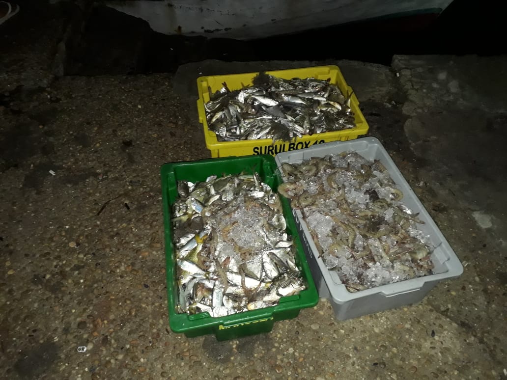 FOTO DIVULGAÇÃO PMM