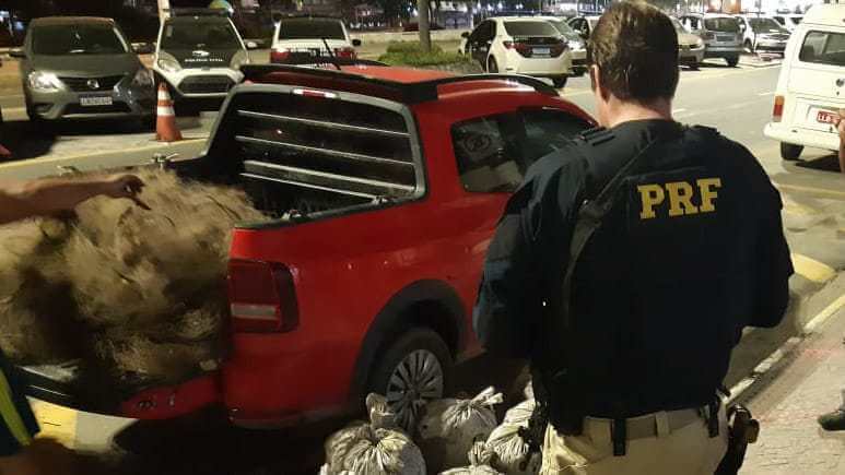 FOTO DIVULGÃO PRF