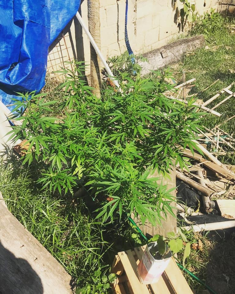 FOTO DIVULGAÇÃO PMERJ