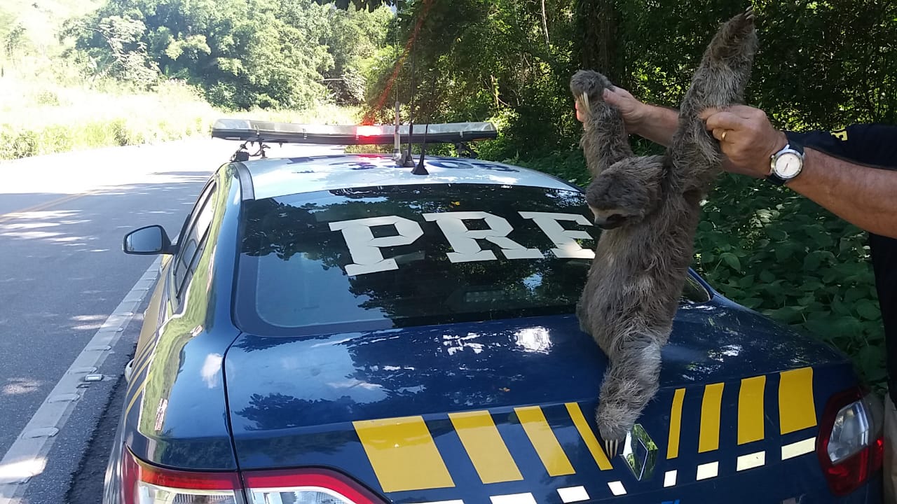 FOTO DIVULGAÇÃO PRF