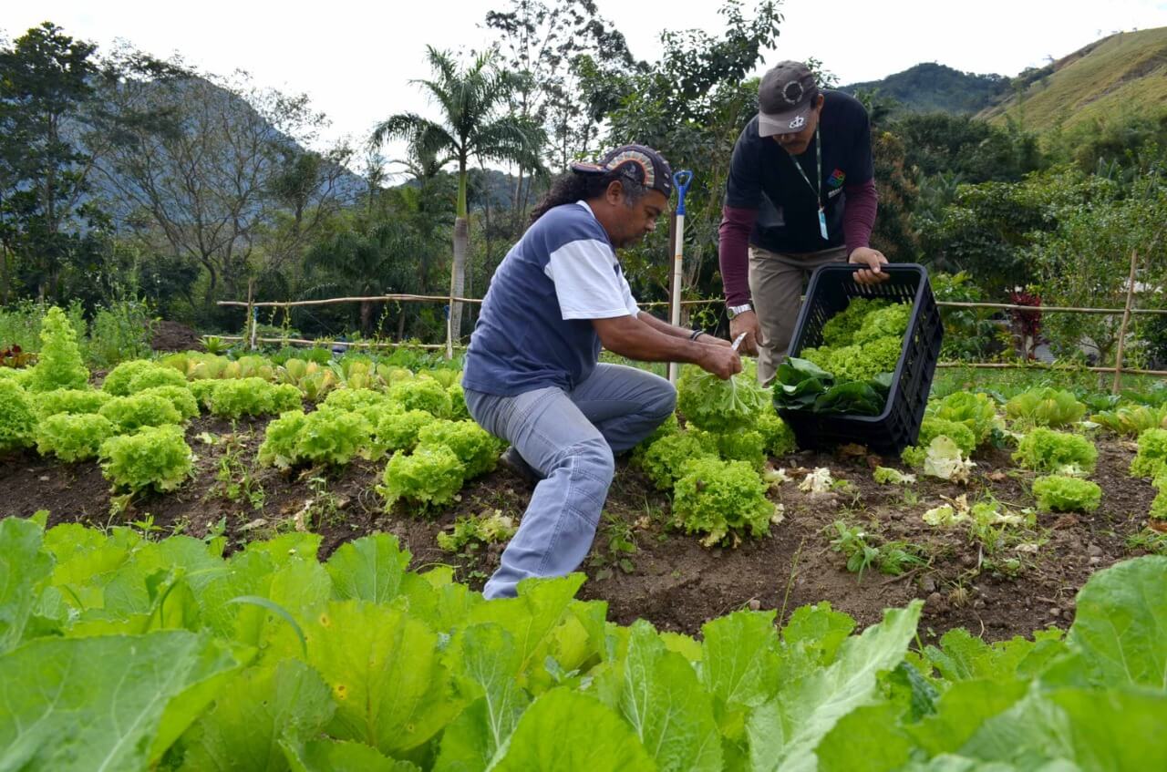 FOTO DIVULGAÇÃO /PMM